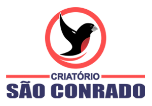 Criatório São Conrado - Curió Clássico - Rio de Janeiro